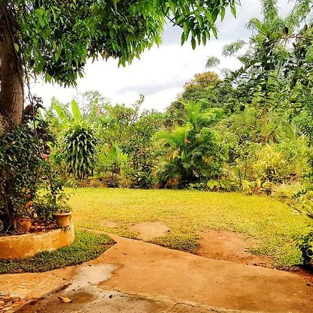 Suisse Villa Kandy Kültér fotó