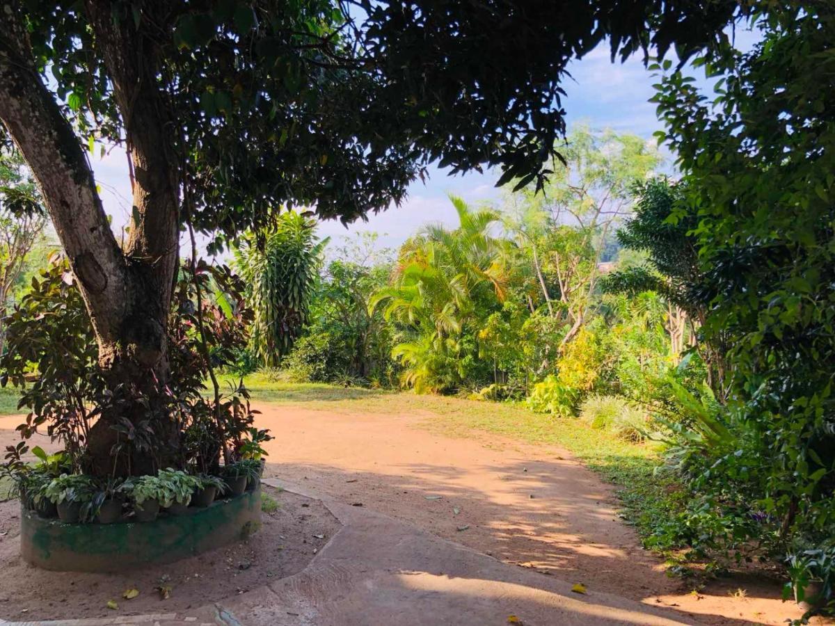 Suisse Villa Kandy Kültér fotó