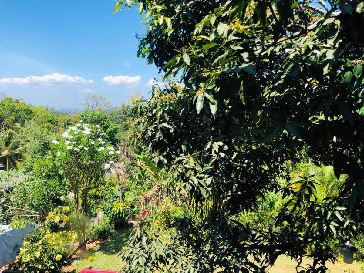 Suisse Villa Kandy Kültér fotó